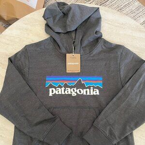Patagonia Kids' Lightweight Graphic Hoodie Sweatshirt Size M _Color Forge Grey